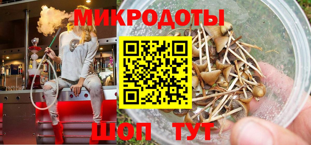 купить закладку  Псилоцибиновые грибы Psilocybe  Вход с VPN  Верхняя Пышма 
