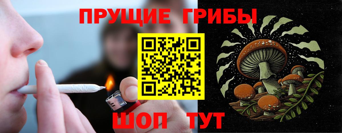 Псилоцибиновые грибы Psilocybe Верхняя Пышма